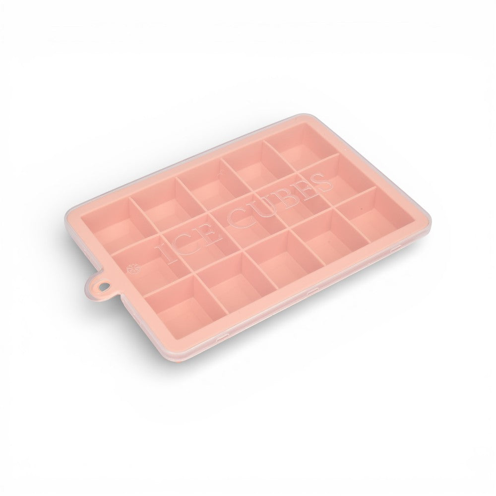 hielera molde de silicona plastico dum:12x18x2