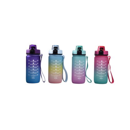 BOTELLA DE AGUA 550ML