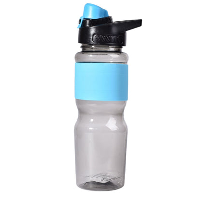 BOTILO EN PLASTICO 650ML
