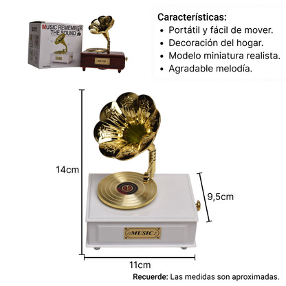 CAJA MUSICAL FORMA DE TOCA DISCOS PLASTICO
