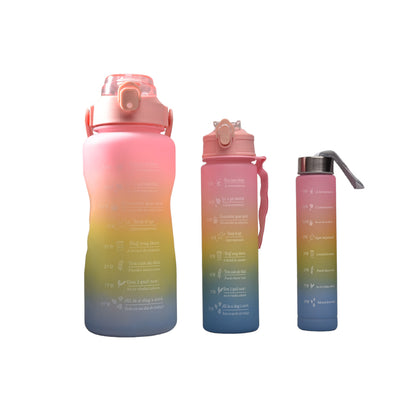 SET BOTELLA DE AGUA X 3 UND