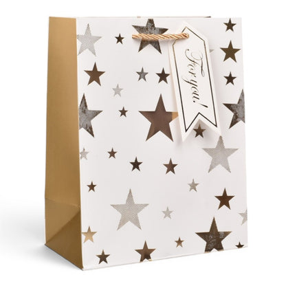 BOLSA REGALO L QZHZD-620A-2 DIM:30X41,5X12CM