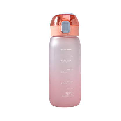 BOTELLA DE AGUA 650ML