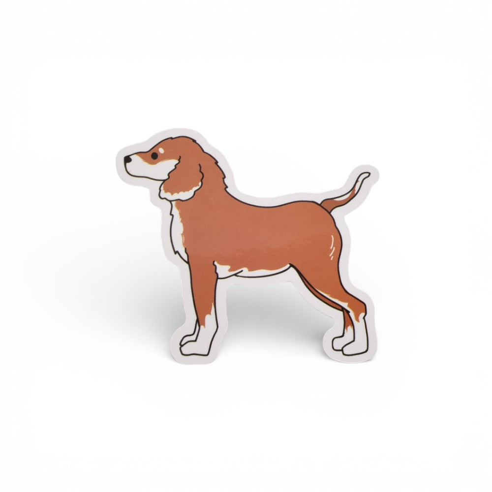 stiker paquete x 50und surtido