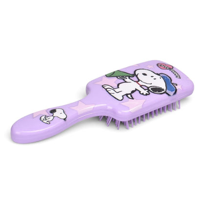 CEPILLO PLASTICO PARA CABELLO PRJ DIM: 20.5*7CM